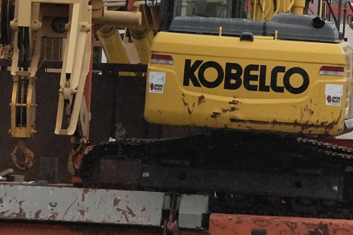 Accipitrine hawk sp. (former Accipiter sp.) - ML646860022