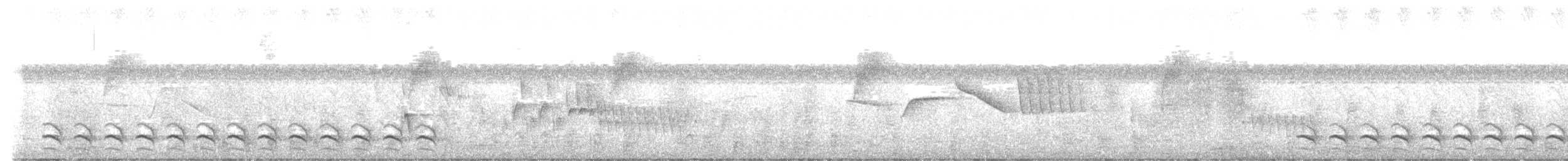 Wechselameisenwürger - ML646860303