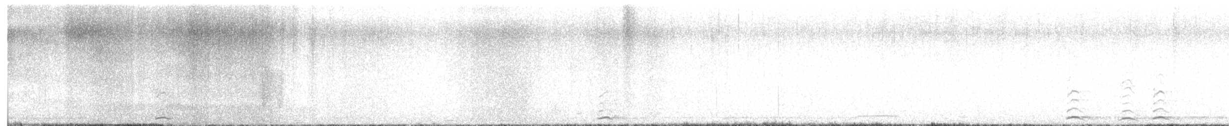 Zwergschwan - ML646860666