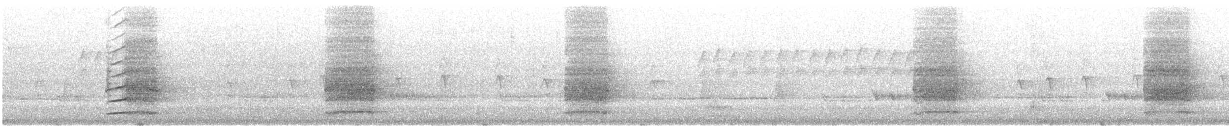 Rotschwanz-Rabenkakadu - ML646860873