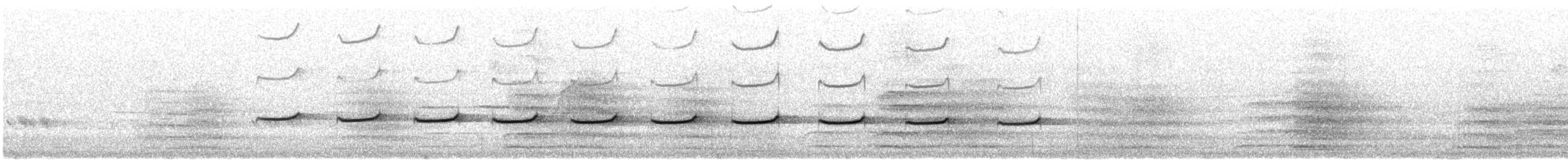 Glanzbronzekuckuck (plagosus) - ML646860901