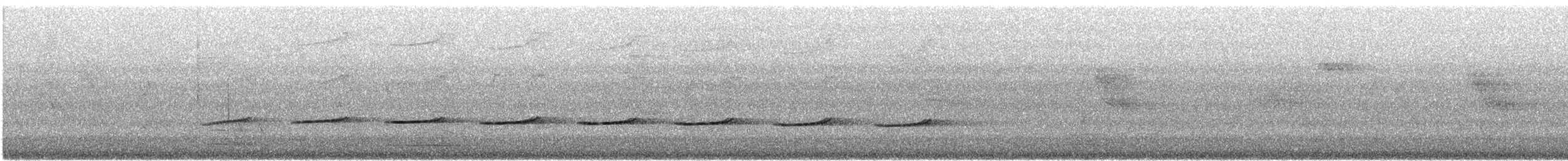 Glanzbronzekuckuck (plagosus) - ML646860902