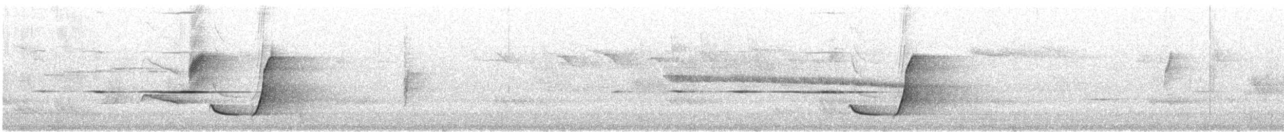 Gelbbauch-Dickkopf (Ramsaydickkopf) - ML646860940