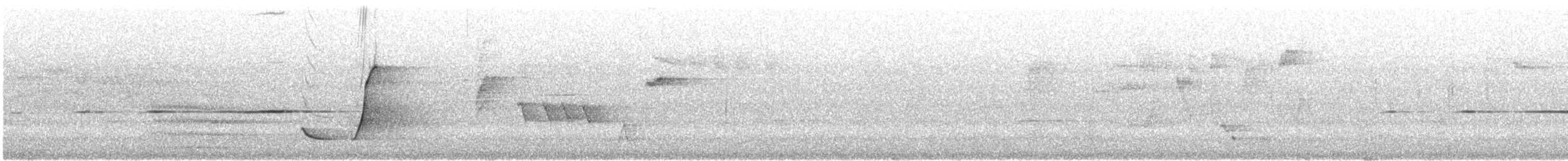 Gelbbauch-Dickkopf (Ramsaydickkopf) - ML646860942