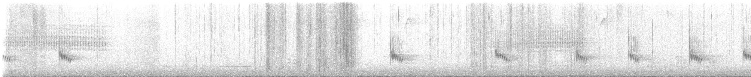 Carolina Wren - ML646861329