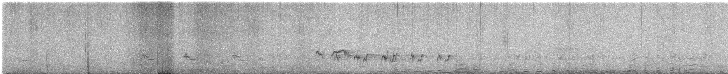 Согсоот болжмор (macrorhyncha/randonii) - ML646861419