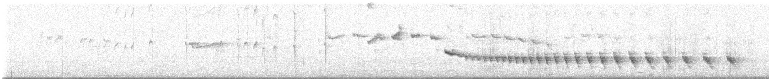 Grauband-Ameisenvogel - ML646861946