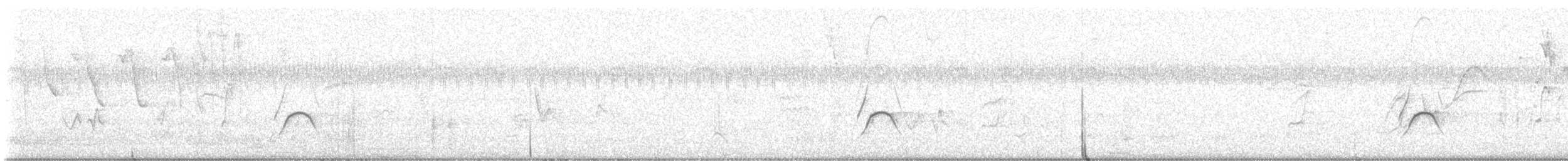 Grauwangen-Olivtyrann - ML646862020