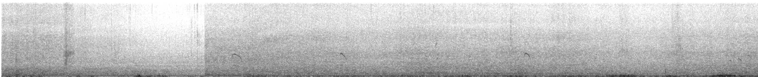 Steinwälzer - ML646862309