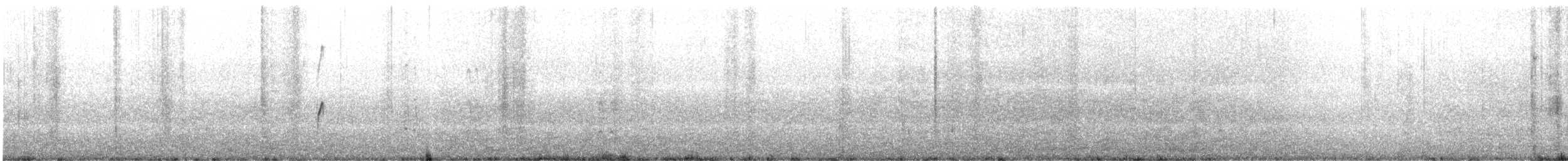 Wilsonregenpfeifer - ML646862353