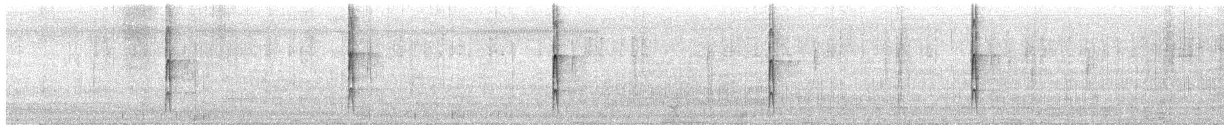 Ladder-backed Woodpecker - ML646863204
