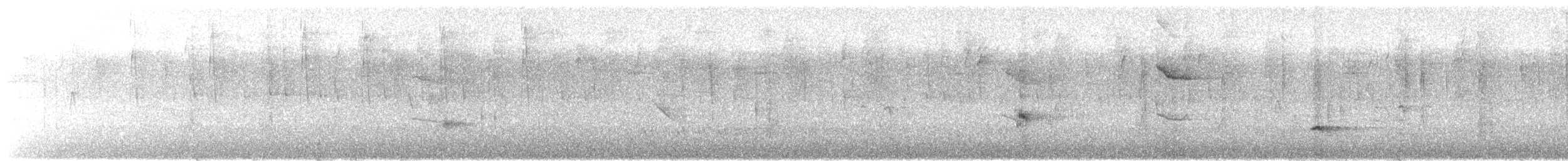 Mulato Pechiblanco - ML646863241