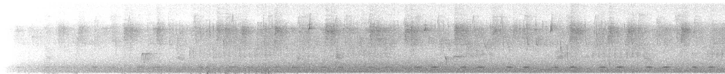 Northern Pygmy-Owl (Guatemalan) - ML646864234