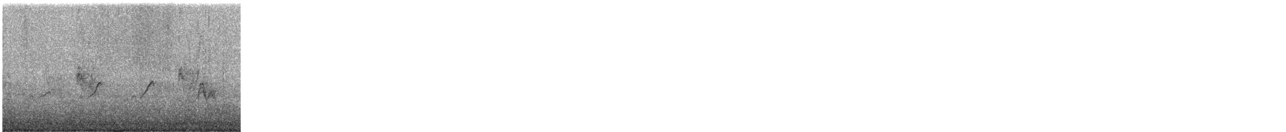 Spotted Sandpiper - ML646864524