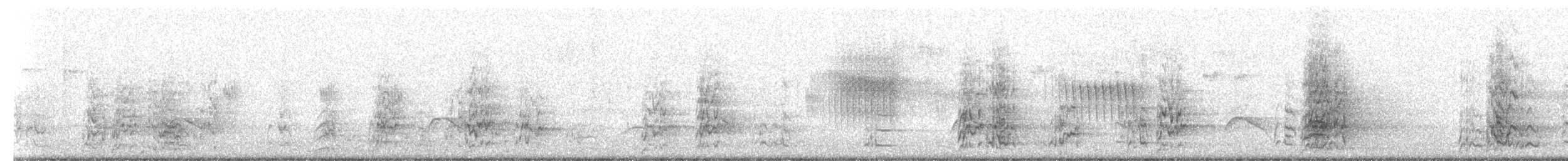 Slender-billed Parakeet - ML646864704