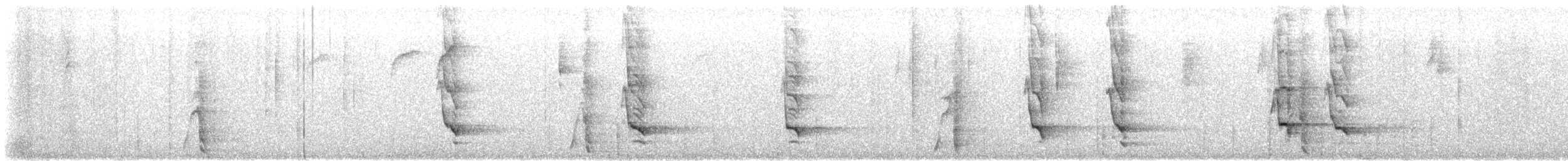 Black-throated Magpie-Jay - ML646864970