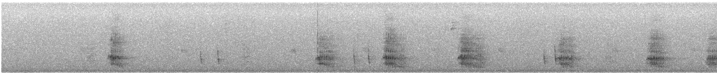 Black-throated Magpie-Jay - ML646864983