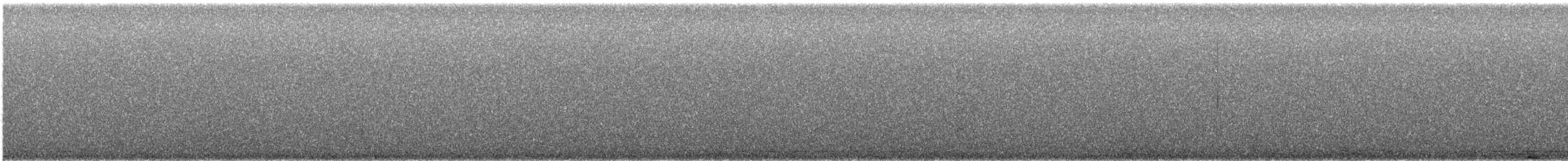 Whiskered Screech-Owl - ML646865335