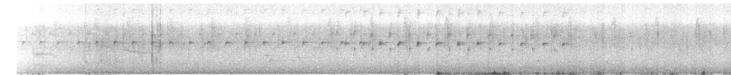 White-eared Hummingbird - ML646865350