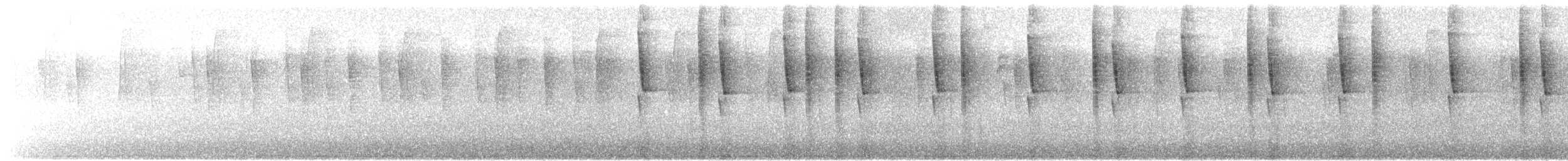 Mexican Violetear - ML646865693