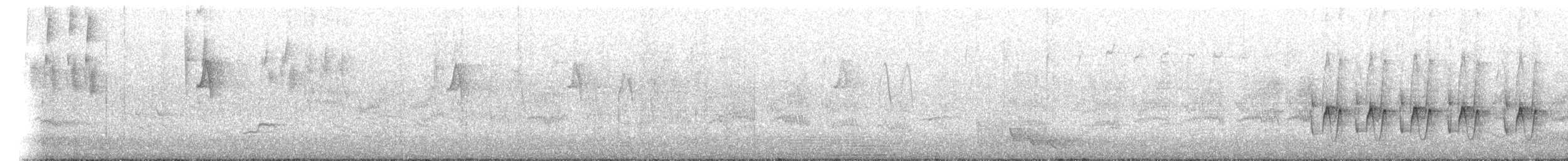 Des Murs's Wiretail - ML646866079