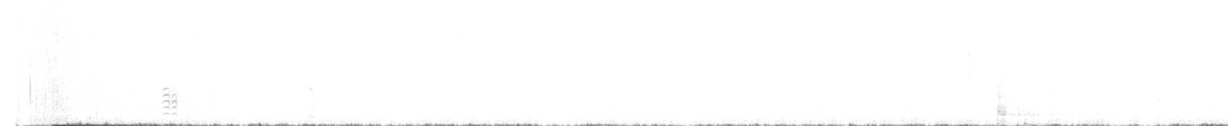 White-breasted Nuthatch (Interior West) - ML646866705