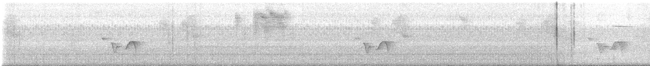 Puerto Rican Vireo - ML646866710