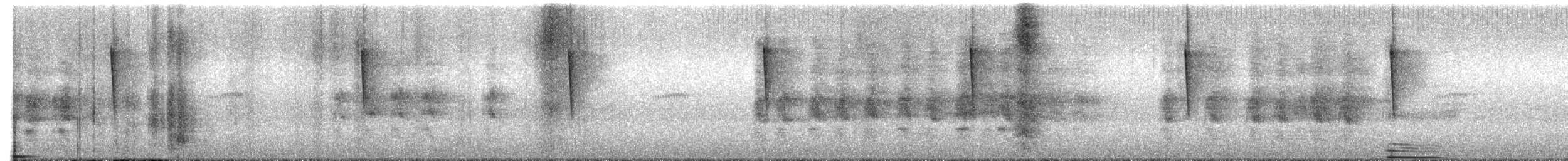 Northern Parula - ML646867324