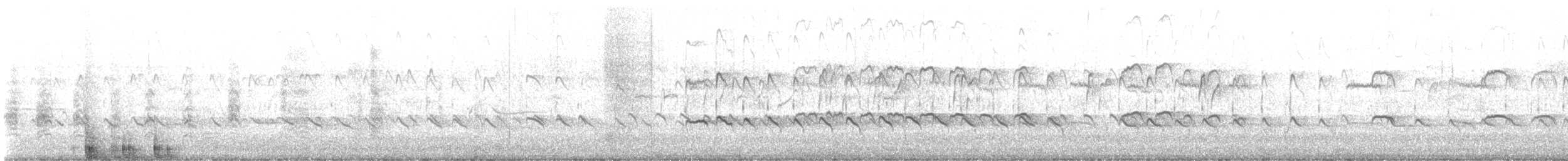 Lesser Yellowlegs - ML646867449