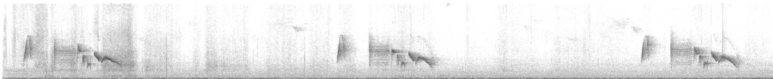 White-eyed Vireo - ML646867502