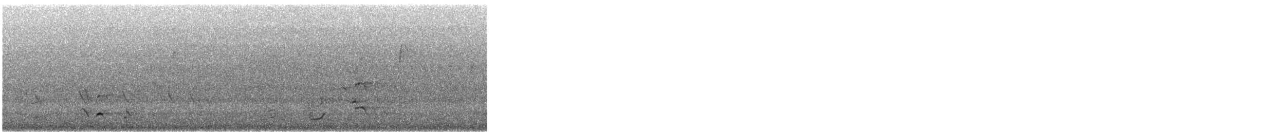 Baudin's Black-Cockatoo - ML646867533