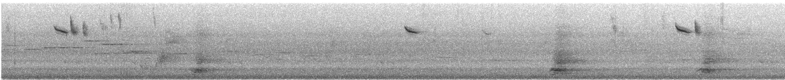 Red-winged Fairywren - ML646867536