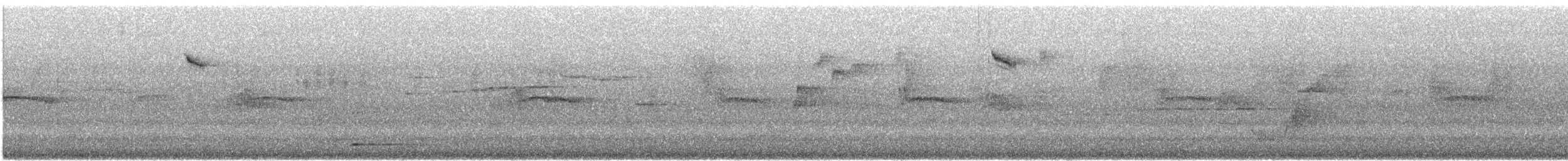 Red-winged Fairywren - ML646867537