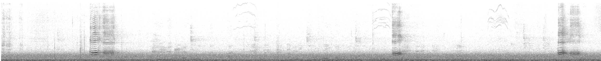 Cuervo Pescador - ML646867548