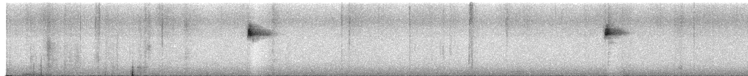 Magnolia Warbler - ML646867627