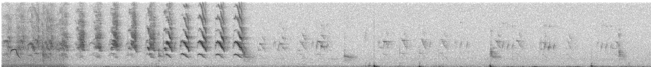 halsbåndparakitt - ML646868313