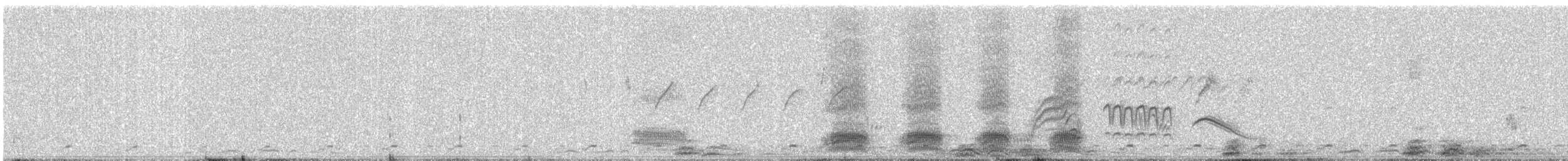 House Crow - ML646868736