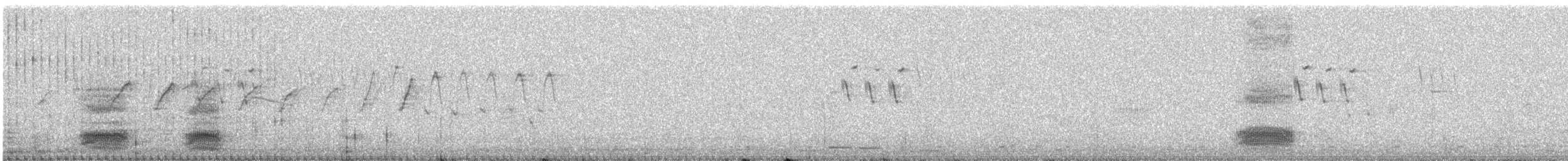 House Crow - ML646868750