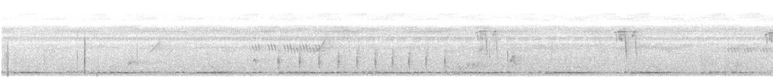 Бородастик смугастий - ML646868974