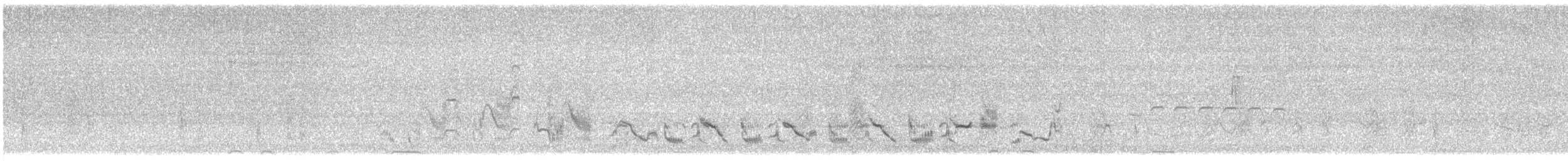 Bendire's Thrasher - ML646869309