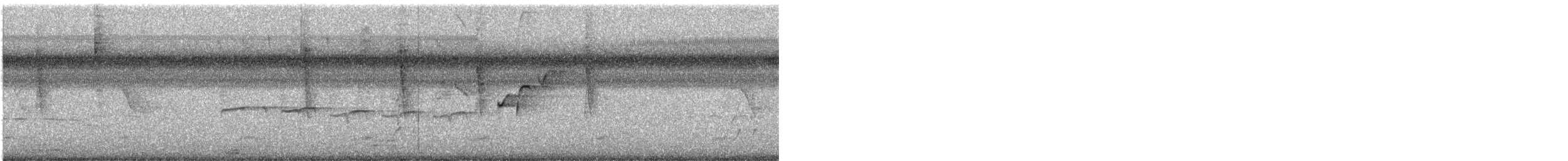 Southern Beardless-Tyrannulet - ML646869456