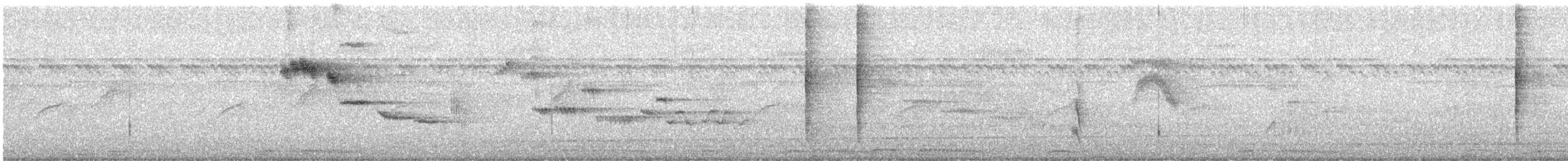 White-rumped Shama - ML646869809