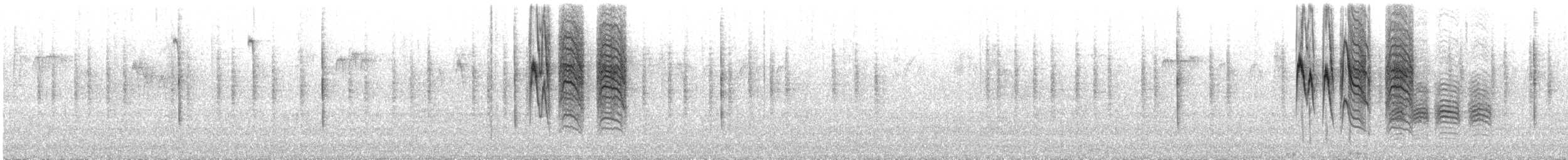 Chestnut-backed Chickadee - ML646870032