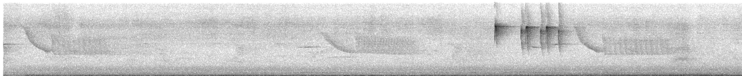 White-crested Tyrannulet - ML646870105