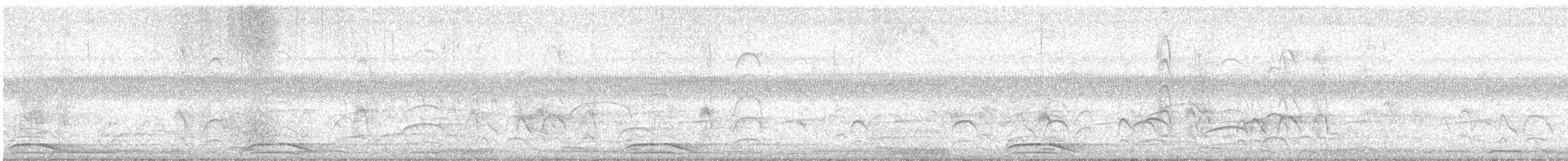 Carnifex à collier - ML646870147