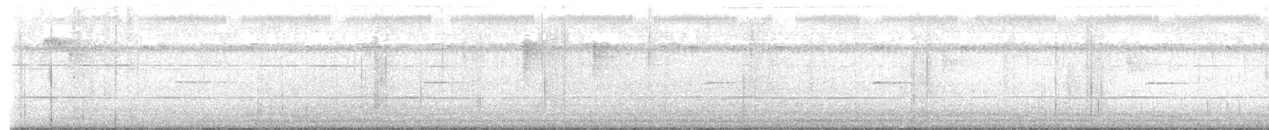 budníček východní - ML646870290