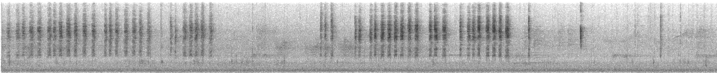 Spotted Scrubwren - ML646870320