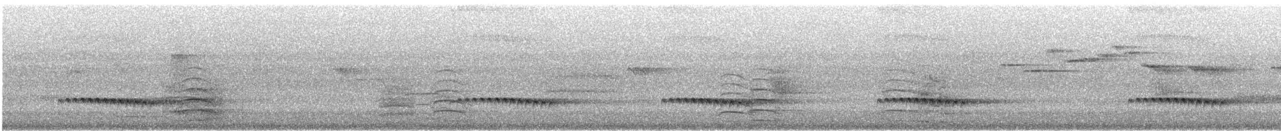 Fan-tailed Cuckoo - ML646870330