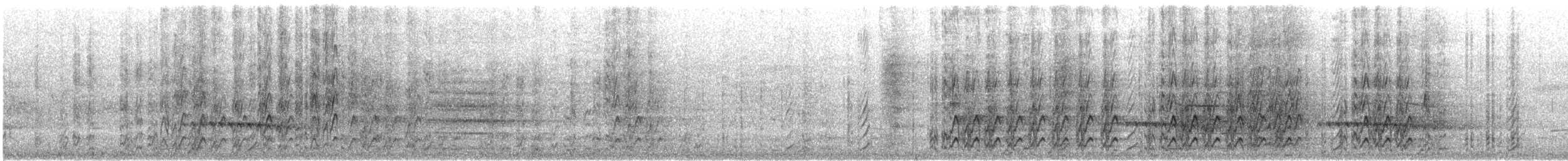 Western Rosella - ML646870337