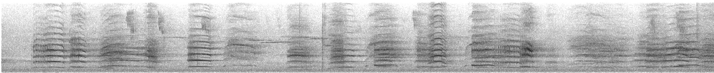 Red-tailed Black-Cockatoo - ML646870385